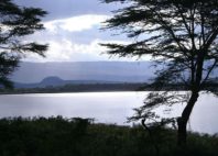 Lac Nakuru 