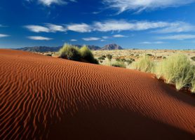NamibRand : au cœur d’une abondante réserve en plein désert !