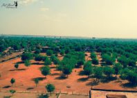 Niamey 
