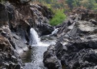 Réserve de Nkhotakota 