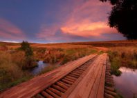 Parc national de Nyika 
