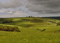 Parc national de Nyika 