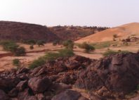 Oualata 
