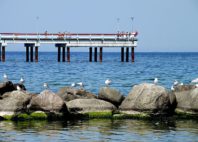 Palanga 