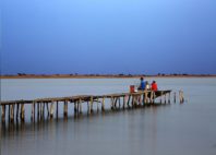 Delta du Saloum 