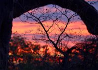 Parc national Mapungubwe 