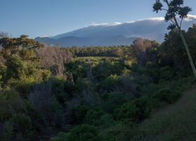 Parc national d'Andohahela : un riche patrimoine naturel