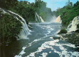 Parc national d'Ivindo : le charme au cœur de la nature