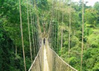 Parc national de Kakum 