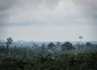 Parc national de Kakum 