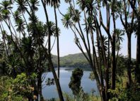 Parc national de Kibale 