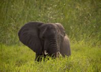 Parc national de Kisama 