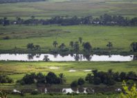 Parc national de Kisama 