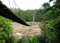 Parc national de Korup 