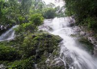 Parc national de Korup 