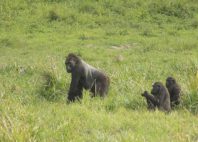 Parc national de Lobéké 