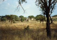 Parc national de Meru 