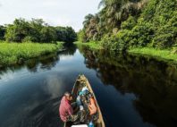 Parc national de Nouabalé-Ndoki 