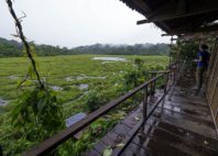 Parc national de Nouabalé-Ndoki 