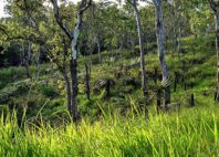 Parc national de Varirata 