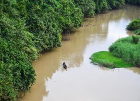 Parc national de la Comoé : le trésor du pays de l’ivoire