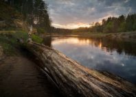 Parc national de la Gauja 