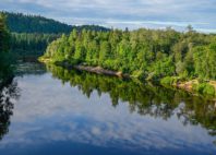 Parc national de la Gauja 