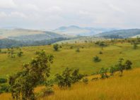 Parc national de la Lopé 