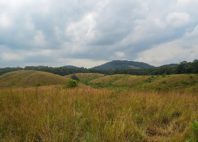 Parc national de la Lopé 