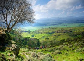 Parc national du Mont Balé : les Alpes africaines