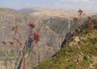 Parc national du Simien 