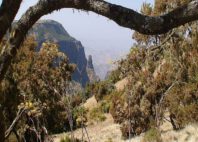 Parc national du Simien 