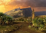 Parc national du Simien 