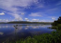 Parc national du lac Mburo 