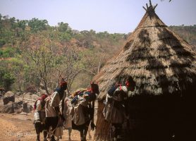 Pays Bassari : site naturel aux multiples attractions
