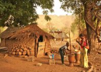 Pays Bassari 