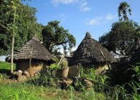 Pays Bassari 