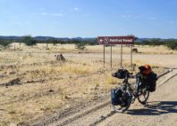 Forêt pétrifiée du Damaraland 