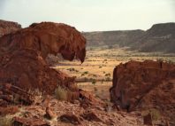 Forêt pétrifiée du Damaraland 