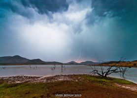 Pilanesberg : la beauté d’un site naturel