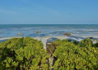 Plage de Paje 