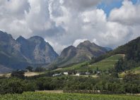 Région des vignobles 
