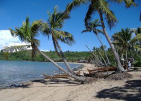 Réserve Naturelle de Lokobe : la belle échappée malgache