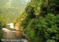 Réserve de Shennongjia 
