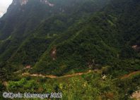 Réserve de Shennongjia 