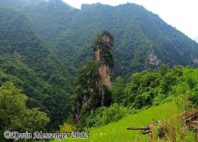 Réserve de Shennongjia 