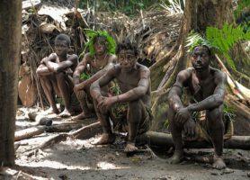 Réserve du Dja : un splendide site naturel