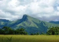 Réserve du Mont Nimba 