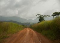 Réserve du Mont Nimba 