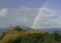 Réserve du Mont Nimba 